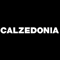 Reclutamiento Calzedonia