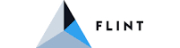Flint International