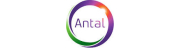 Antal International Spain