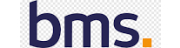 BMS Group